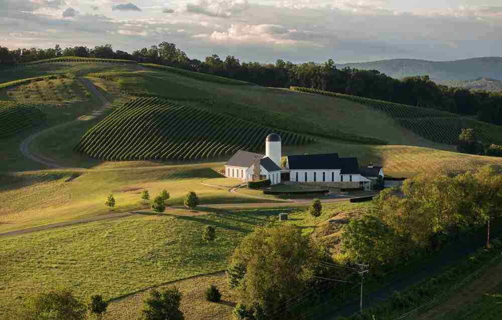 rdv vineyards