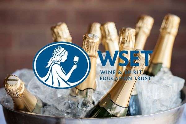 Featured Image wset champaign