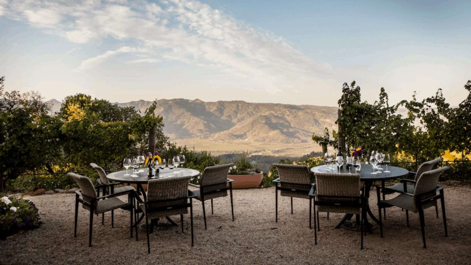 Best St Helena Wineries Armchair Sommelier