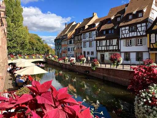 alsace wine