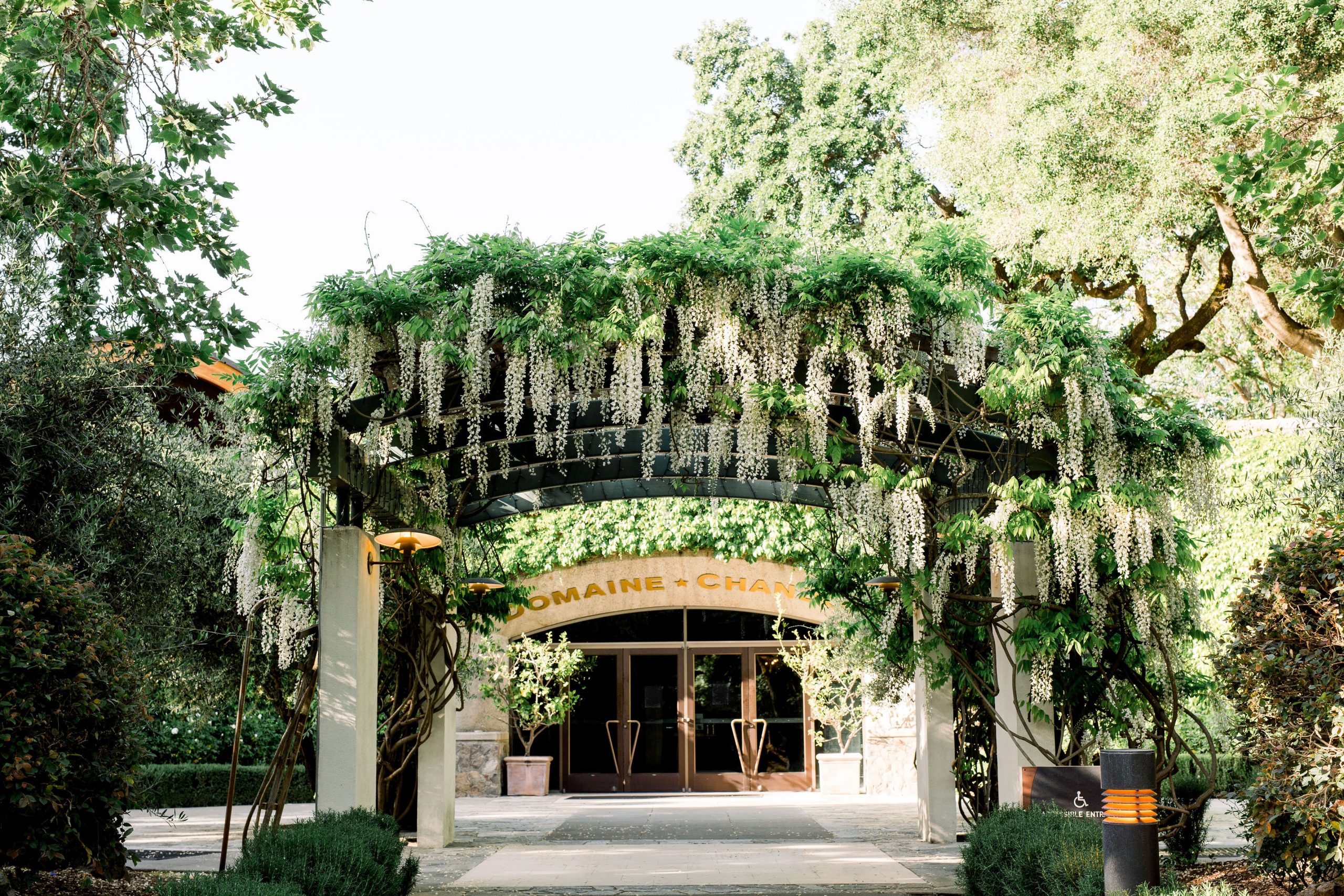 Dog clearance friendly wineries