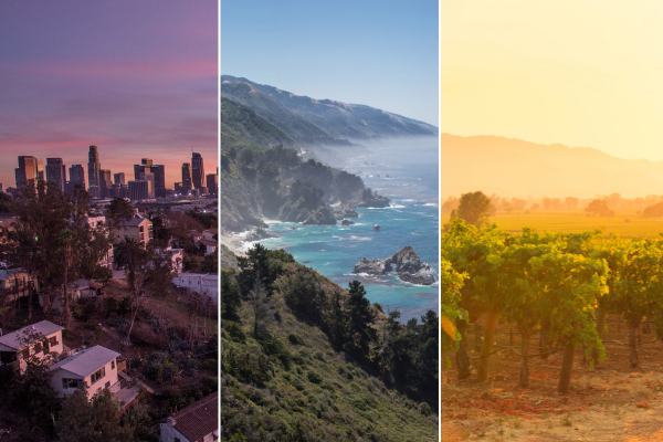 Napa, California 2024  Ultimate Guide To Where To Go, Eat & Sleep