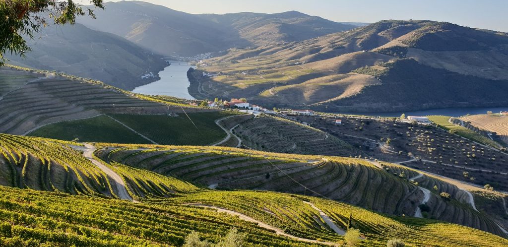 Douro Valley Region