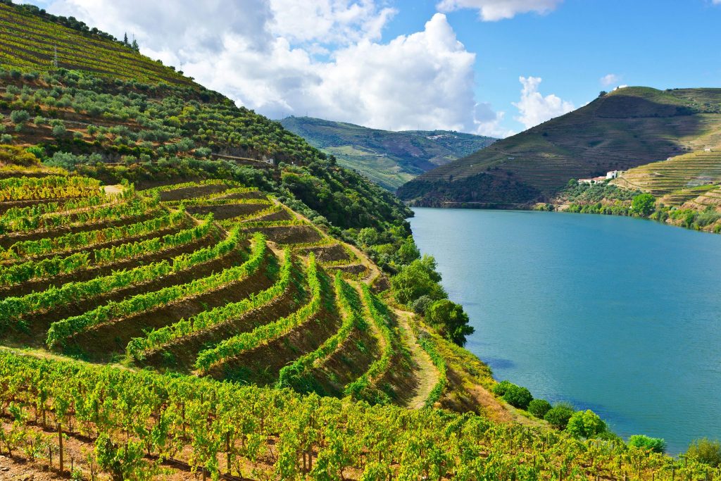 portugal wine regions