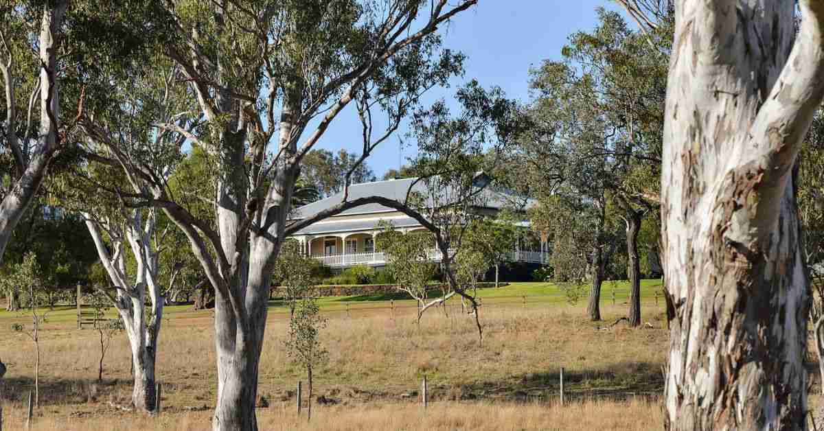 Best Queensland Wineries You Need To Know About Armchair Sommelier