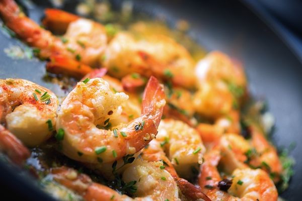 shrimp scampi wine pairing