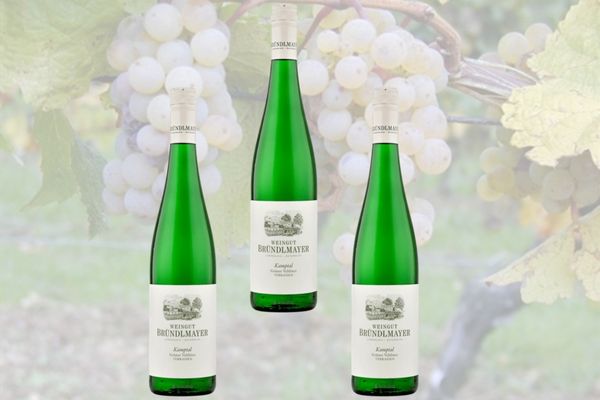 riesling