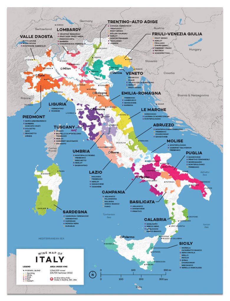 Rome Wine Tasting Regions And Pairings Armchair Sommelier