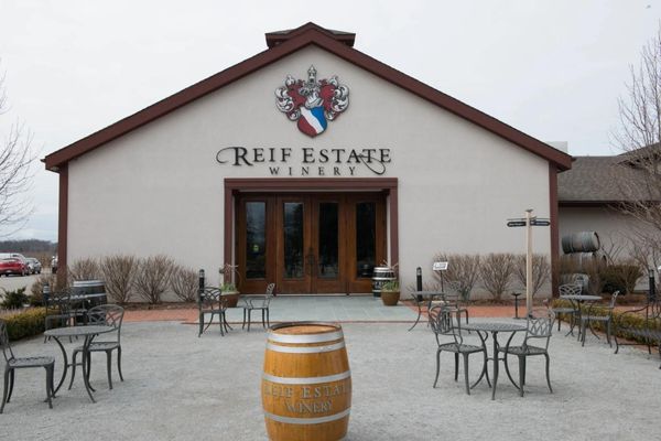 reif estate winery