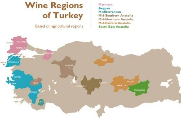 best turkish wines