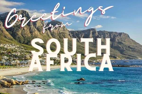 best south african wines