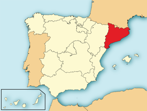 catalonia white wine