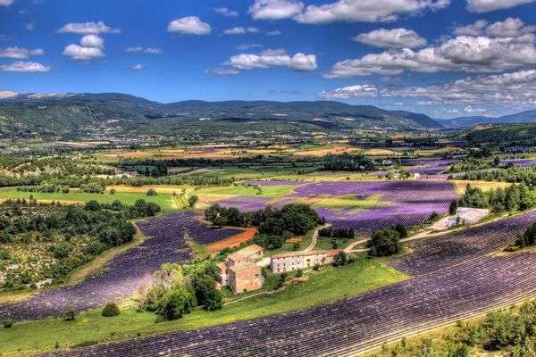 provence wine region