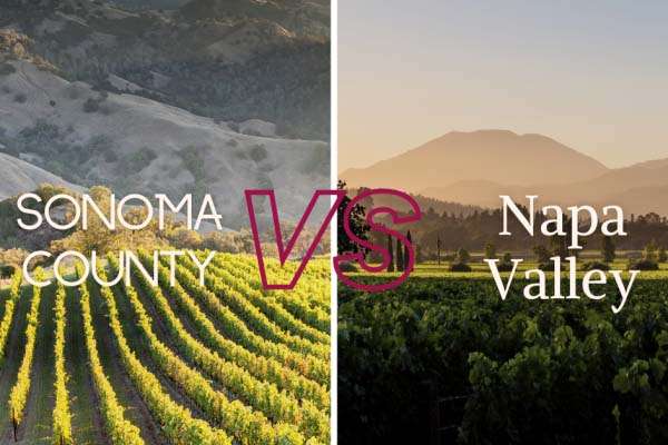 feature napa valley vs sonoma s