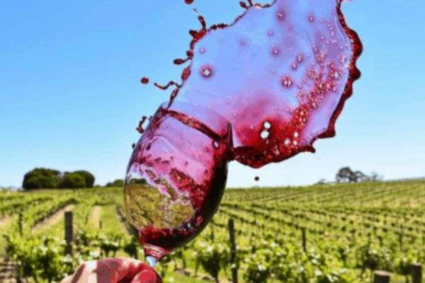 barossa valley wineries