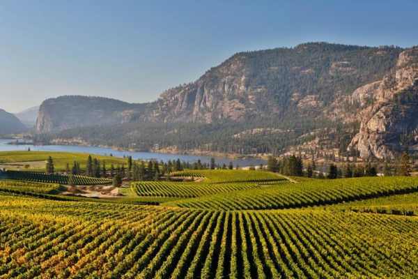 wineries near osoyoos