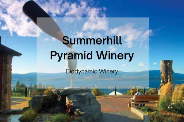 summerhill winery