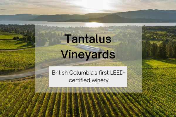 tantalus winery and vineyards