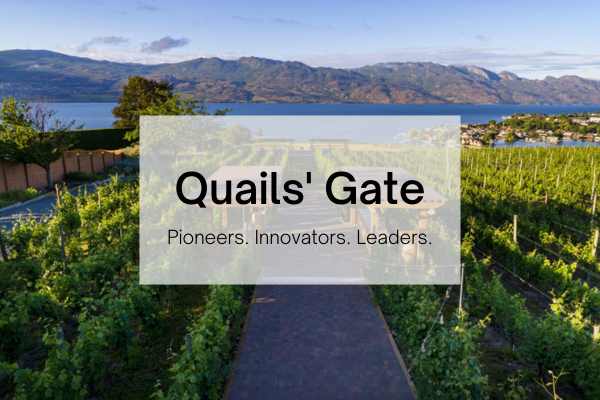 quails gate winery