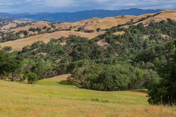 mayacamas mountains near calistoga