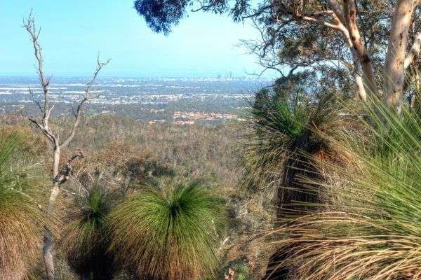 perth wineries in darling scarp