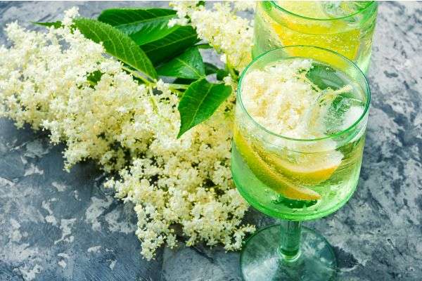 Pear Elderflower champagne cocktail