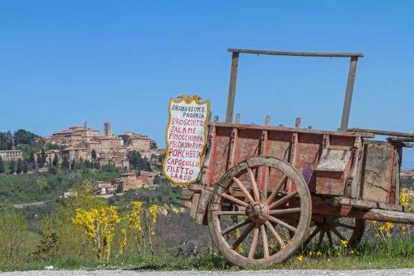 light lunch and wine tours in montepulciano