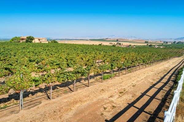  livermore valley wine tour