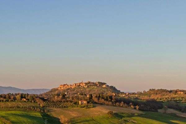 wine tours in montepulciano