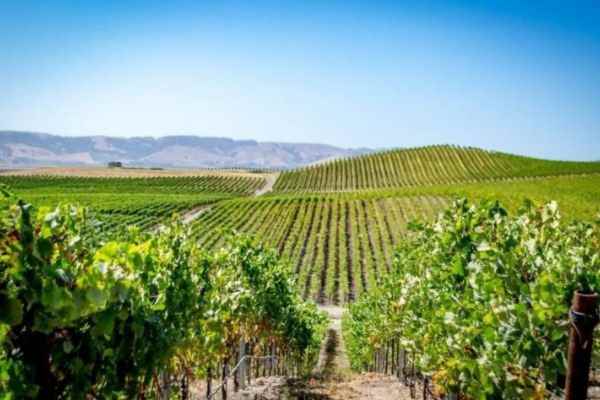 wineries in livermore