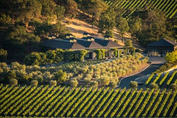 cliff lede vineyards in yountville