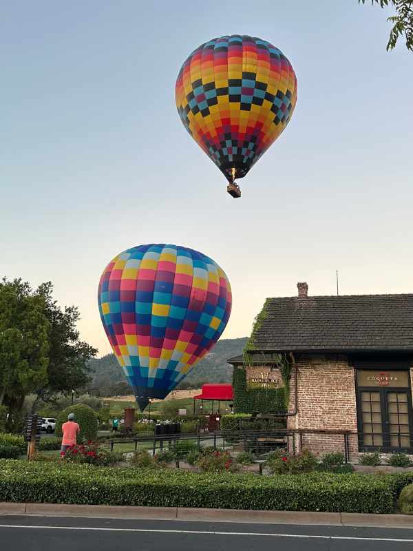 yountville wine tasting tour