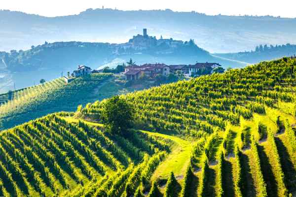 italian wine regions