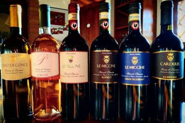 Le Miccine best wineries in chianti