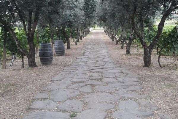 countryside wine tasting in rome