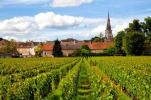 French Wine Regions: With Map | Armchair Sommelier