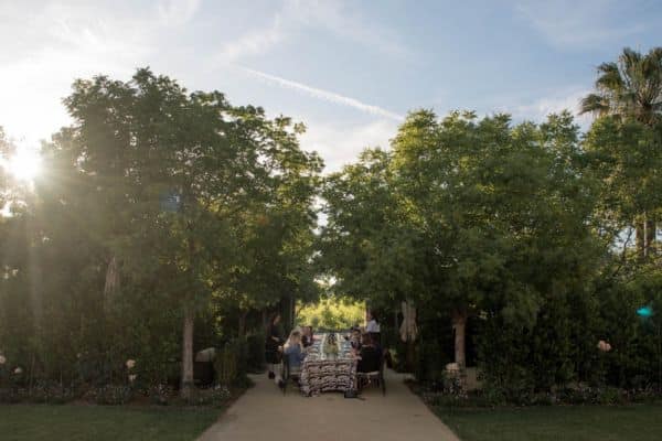 Darioush Winery