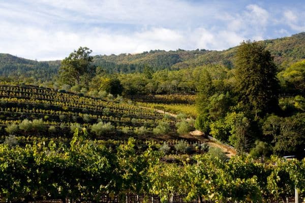 sonoma itinerary