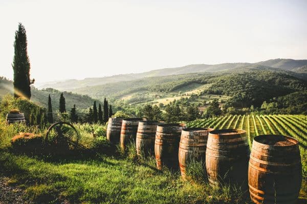 italian winemaking