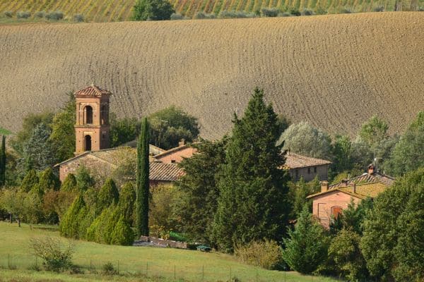 preserving ancient vineyards