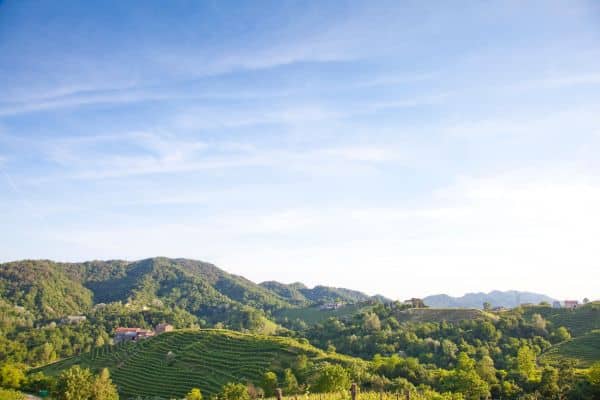 regions of italian winemaking