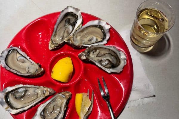 oysters wine pairing