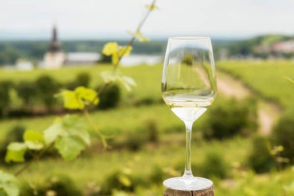 Introducing The VineYard: Cuvaison’s New Casual Outdoor Wine Tasting Experience 1 Introducing The VineYard: Cuvaison’s New Casual Outdoor Wine Tasting Experience
